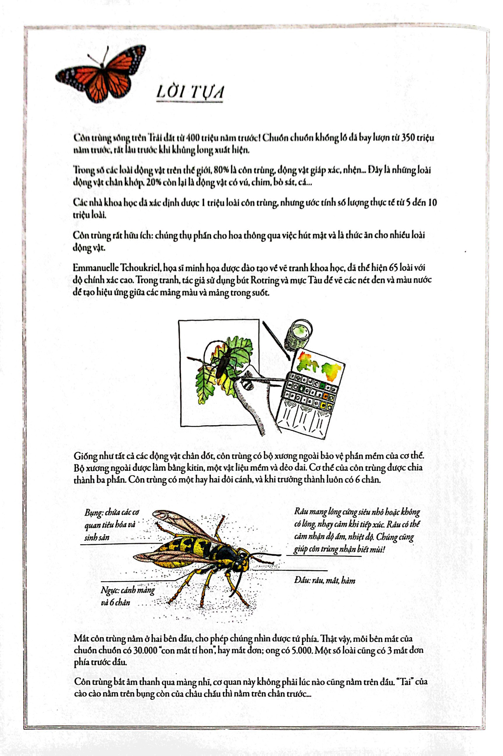 bách khoa thư cho cả nhà - thế giới côn trùng bằng tranh