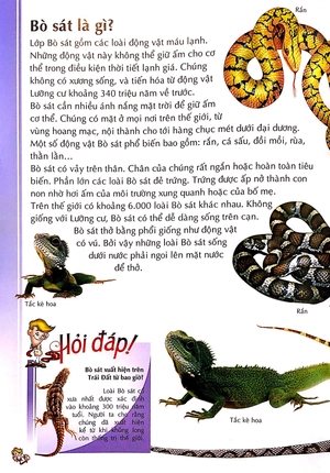 bách khoa thư kỳ diệu cho trẻ em - bò sát và lưỡng cư