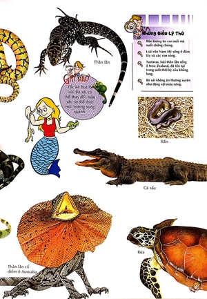 bách khoa thư kỳ diệu cho trẻ em - bò sát và lưỡng cư