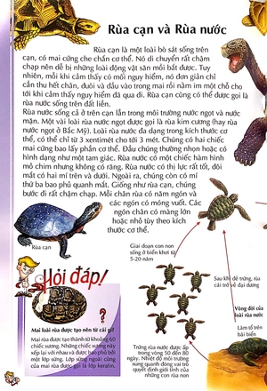 bách khoa thư kỳ diệu cho trẻ em - bò sát và lưỡng cư