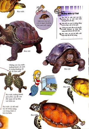 bách khoa thư kỳ diệu cho trẻ em - bò sát và lưỡng cư
