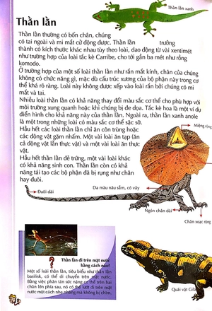 bách khoa thư kỳ diệu cho trẻ em - bò sát và lưỡng cư