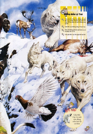 bách khoa thư kỳ diệu cho trẻ em - thế giới động vật