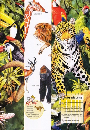 bách khoa thư kỳ diệu cho trẻ em - thế giới động vật