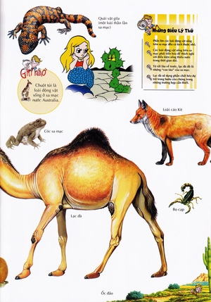 bách khoa thư kỳ diệu cho trẻ em - thế giới động vật