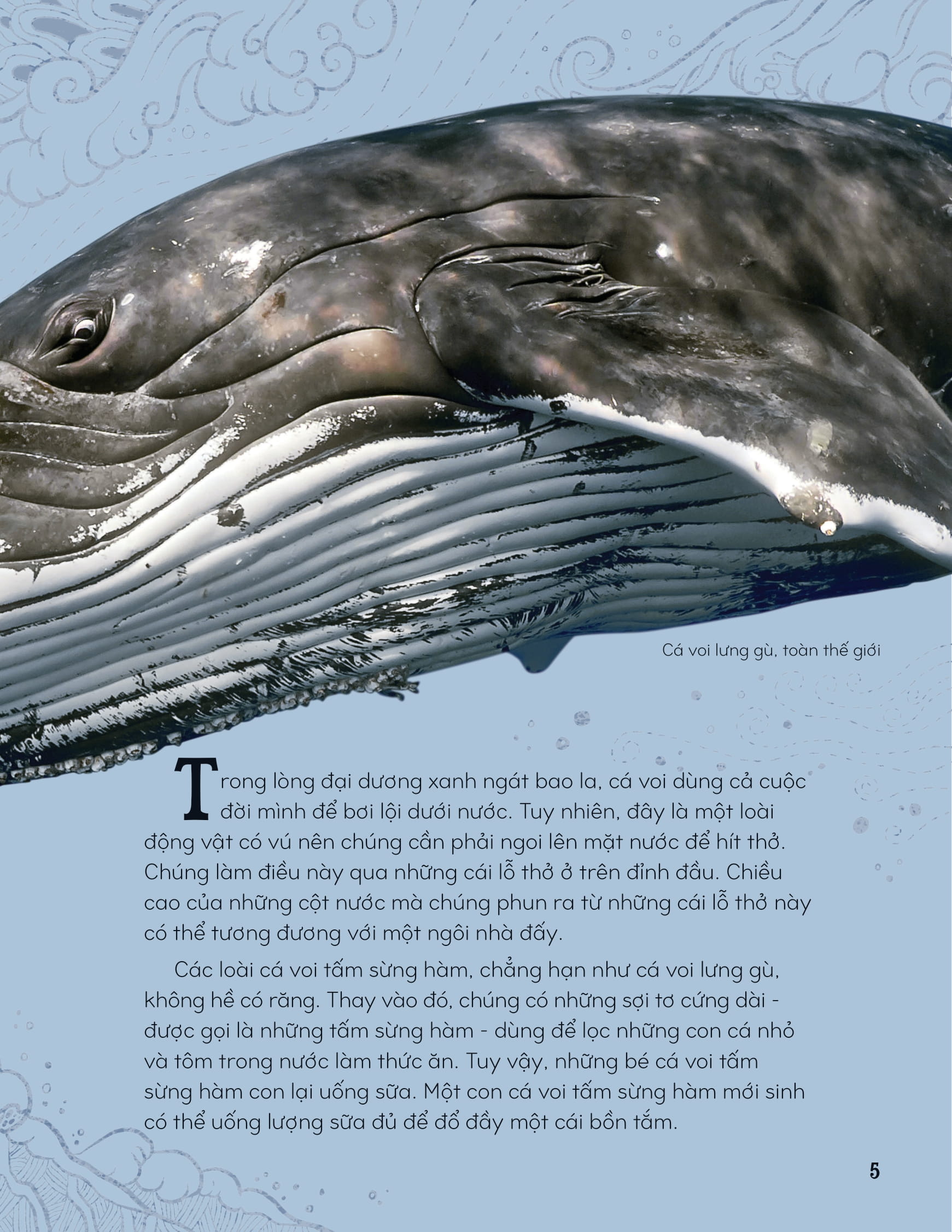 bách khoa thư kỳ thú về động vật - bìa cứng