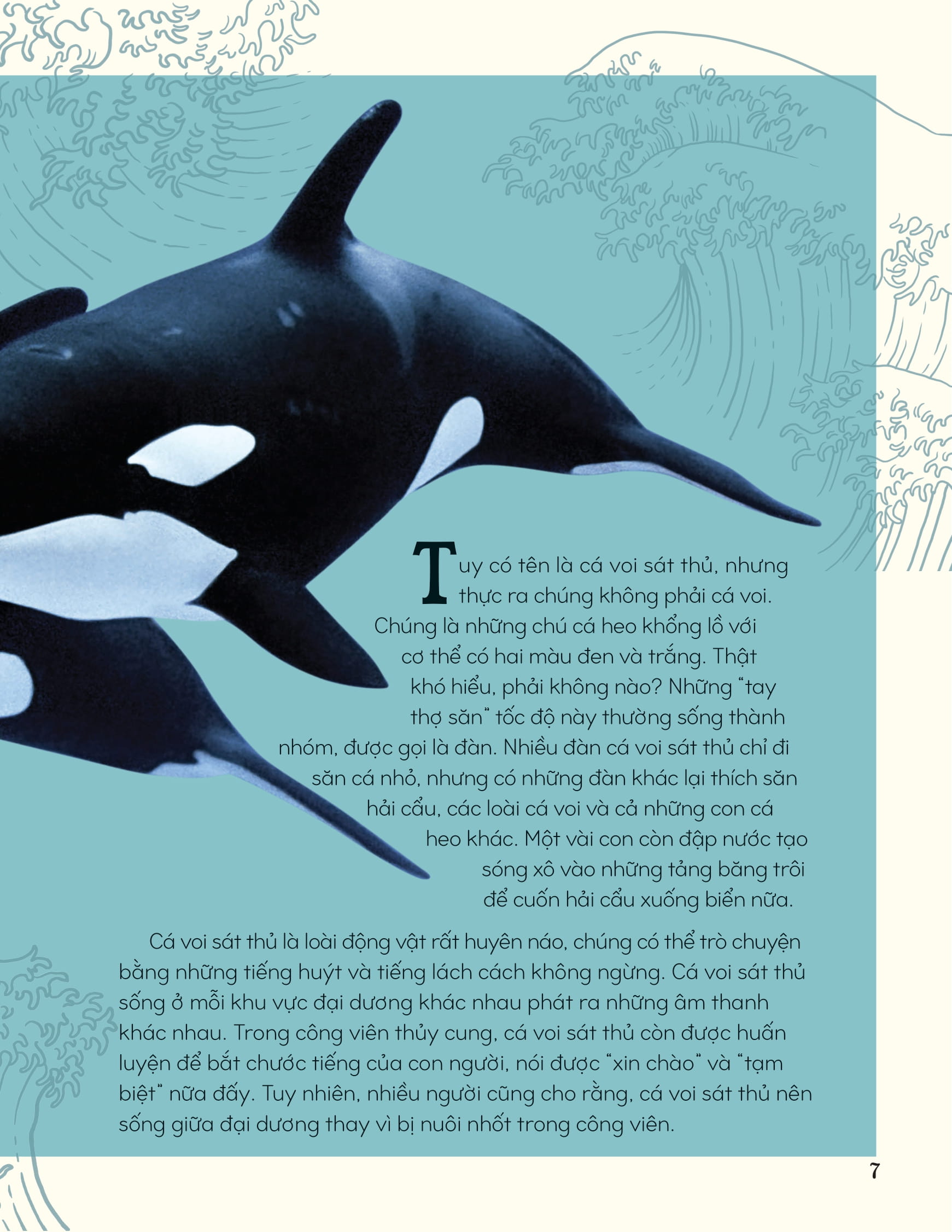 bách khoa thư kỳ thú về động vật - bìa cứng