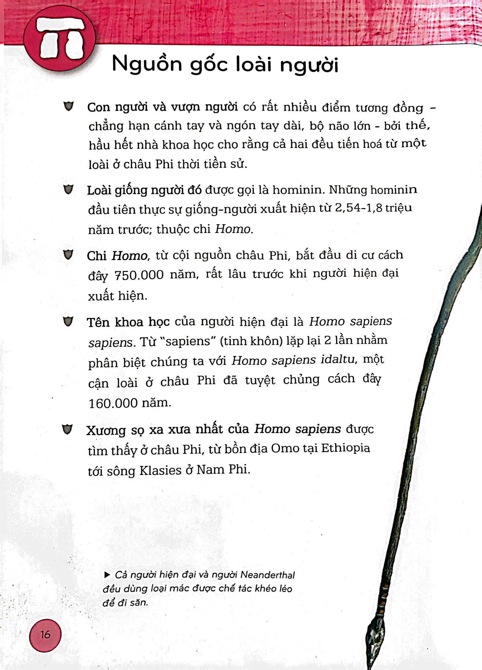 bách khoa thư lịch sử - từ tiền sử đến thời đại - bìa cứng (tái bản)