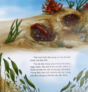 bách khoa thư thế giới tự nhiên - chuyên gia đào hang