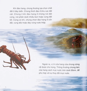 bách khoa thư thế giới tự nhiên - chuyên gia đào hang