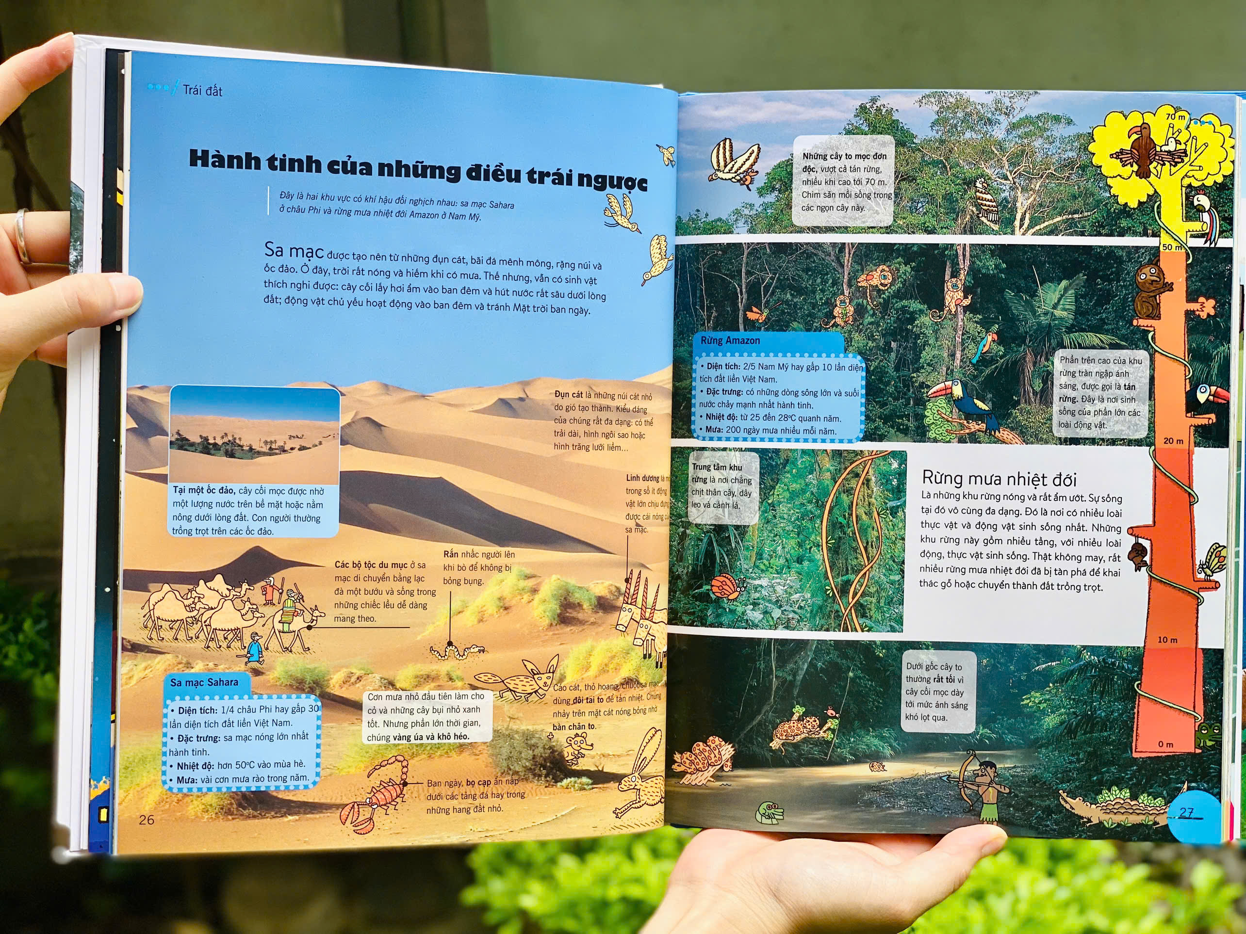 Bach Khoa Thu The He Moi - Bia Cung