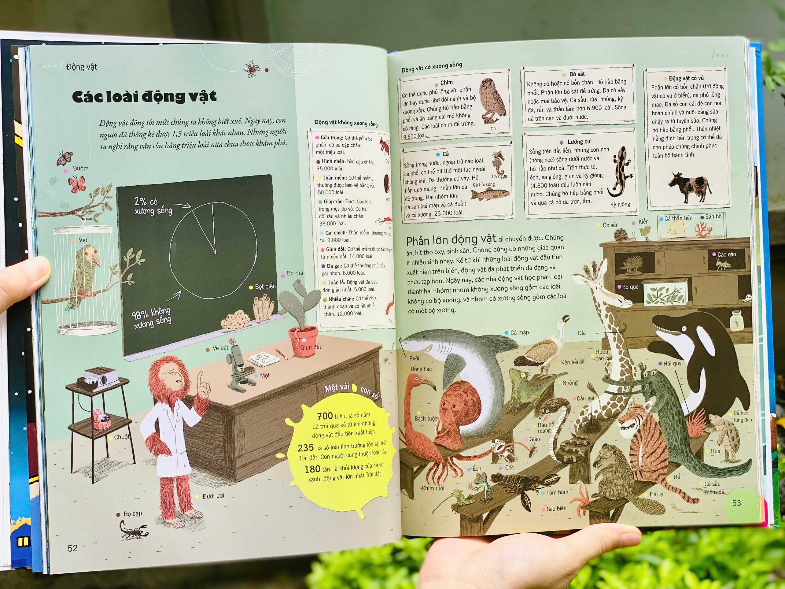 Bach Khoa Thu The He Moi - Bia Cung