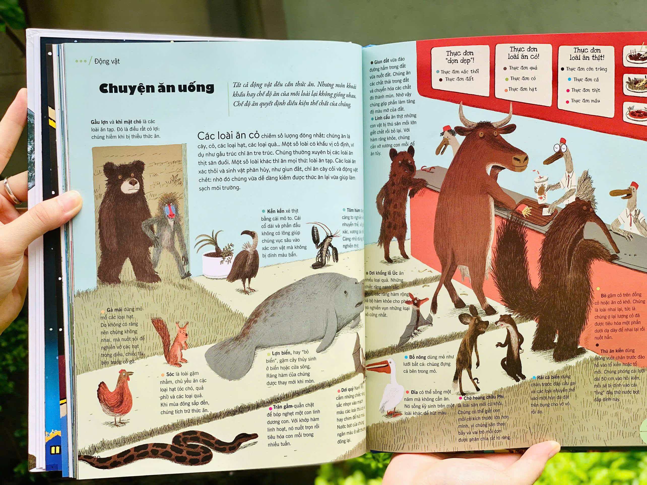 Bach Khoa Thu The He Moi - Bia Cung