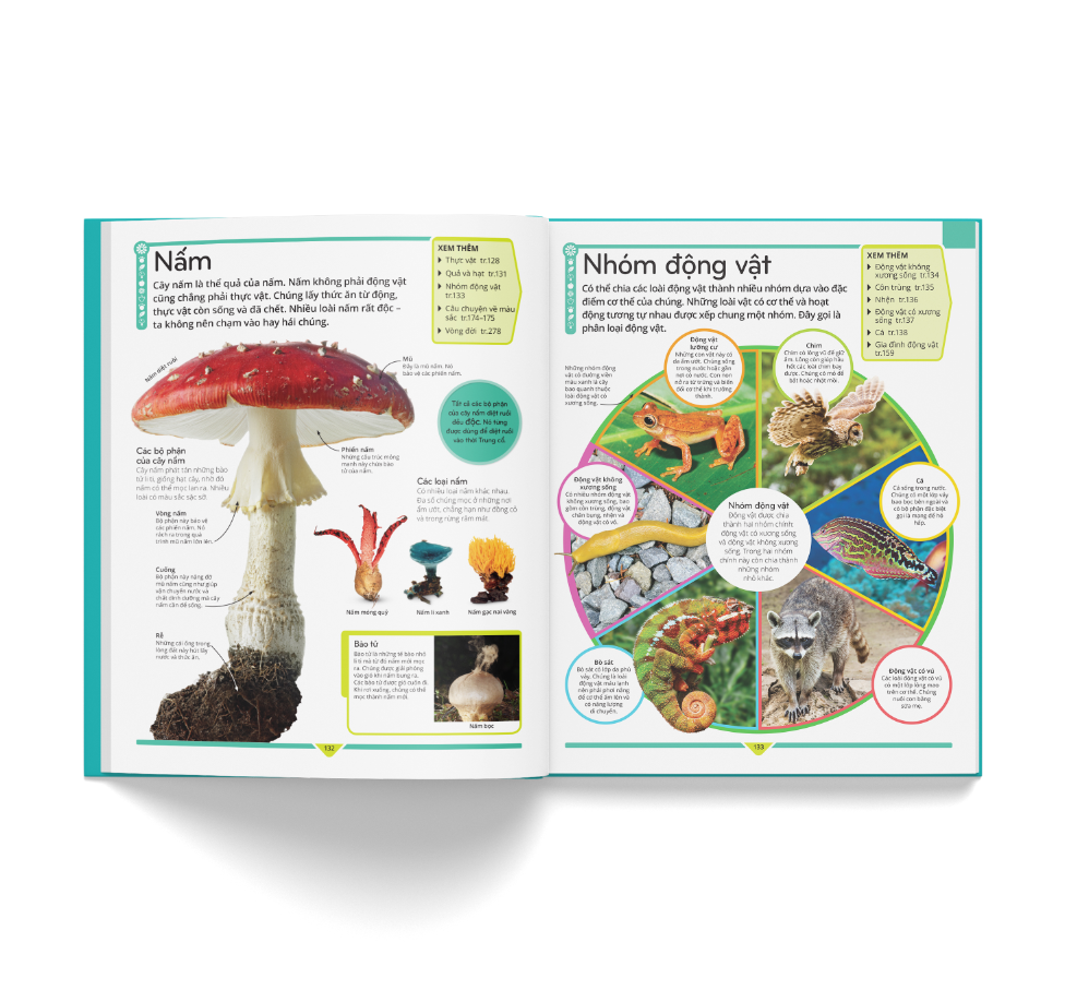 bách khoa thư trẻ em - cuốn sách lí giải vạn vật