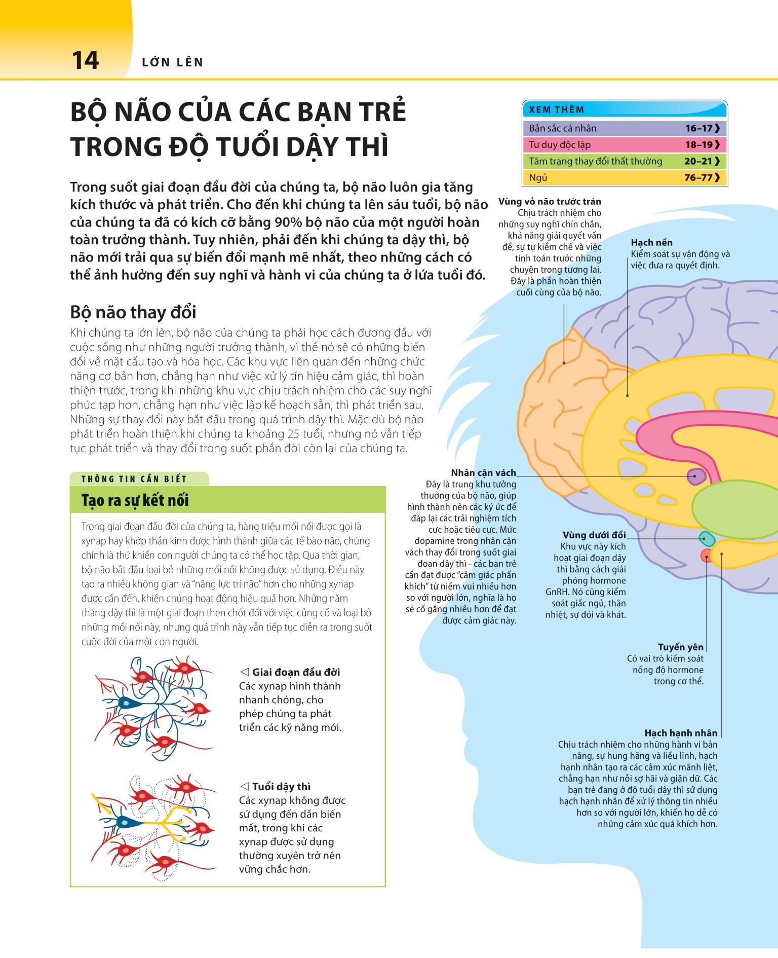 bách khoa thư về phát triển kỹ năng - tuổi dậy thì