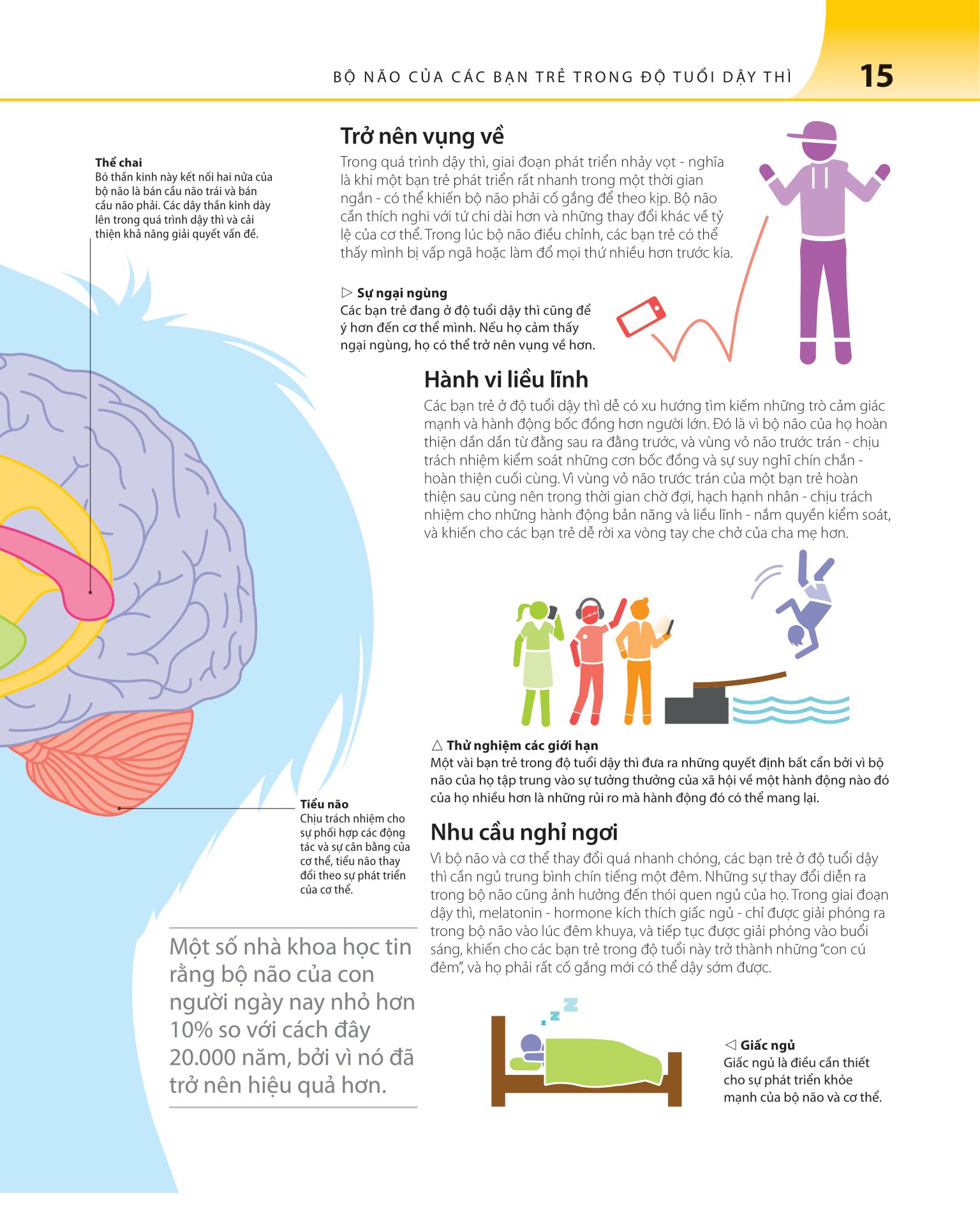 bách khoa thư về phát triển kỹ năng - tuổi dậy thì