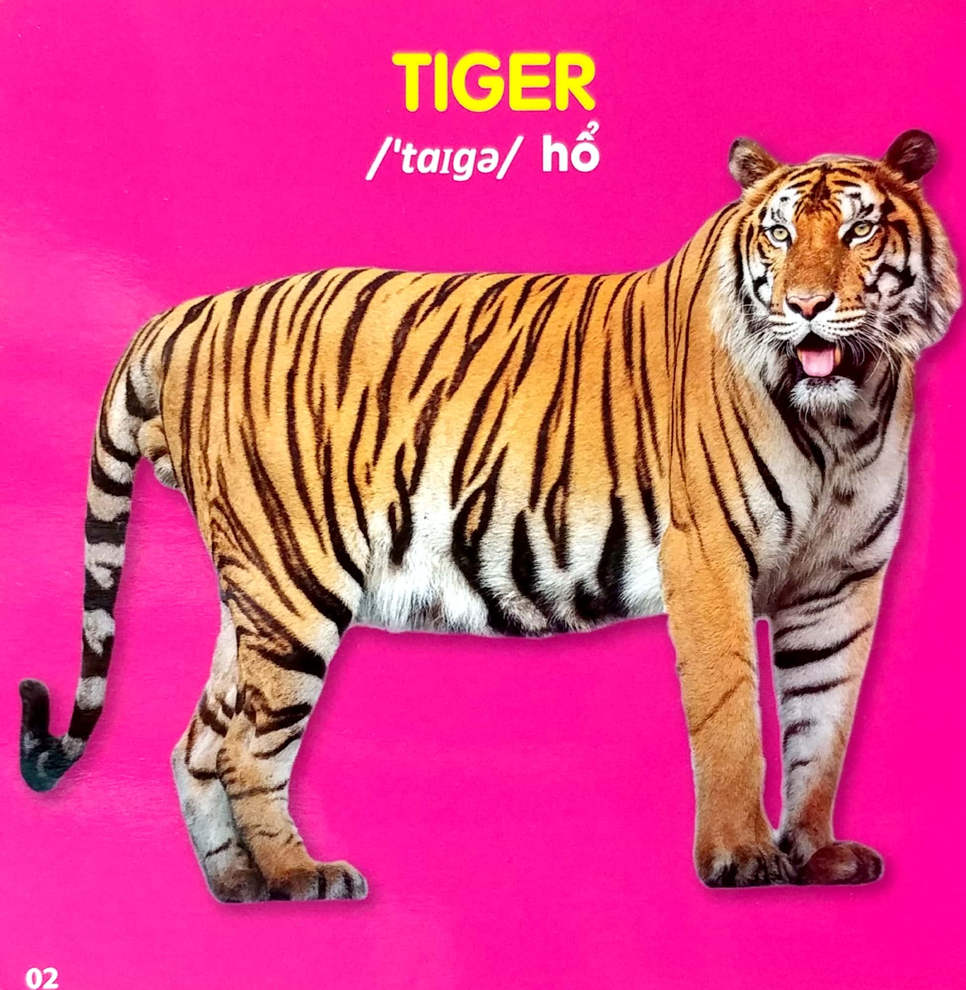 bách khoa toàn thư cho bé - động vật hoang dã