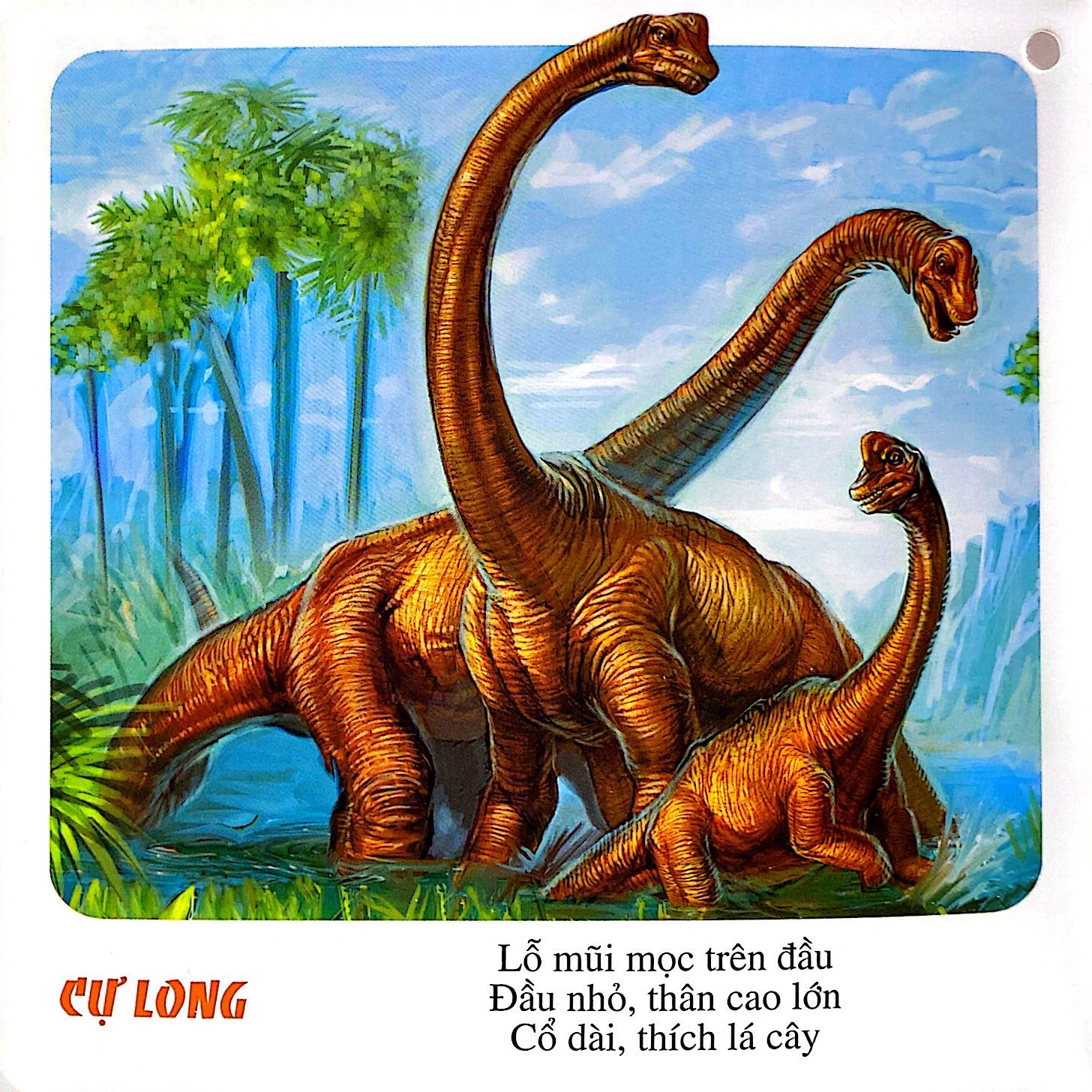 bách khoa toàn thư cho bé - động vật, loài cá