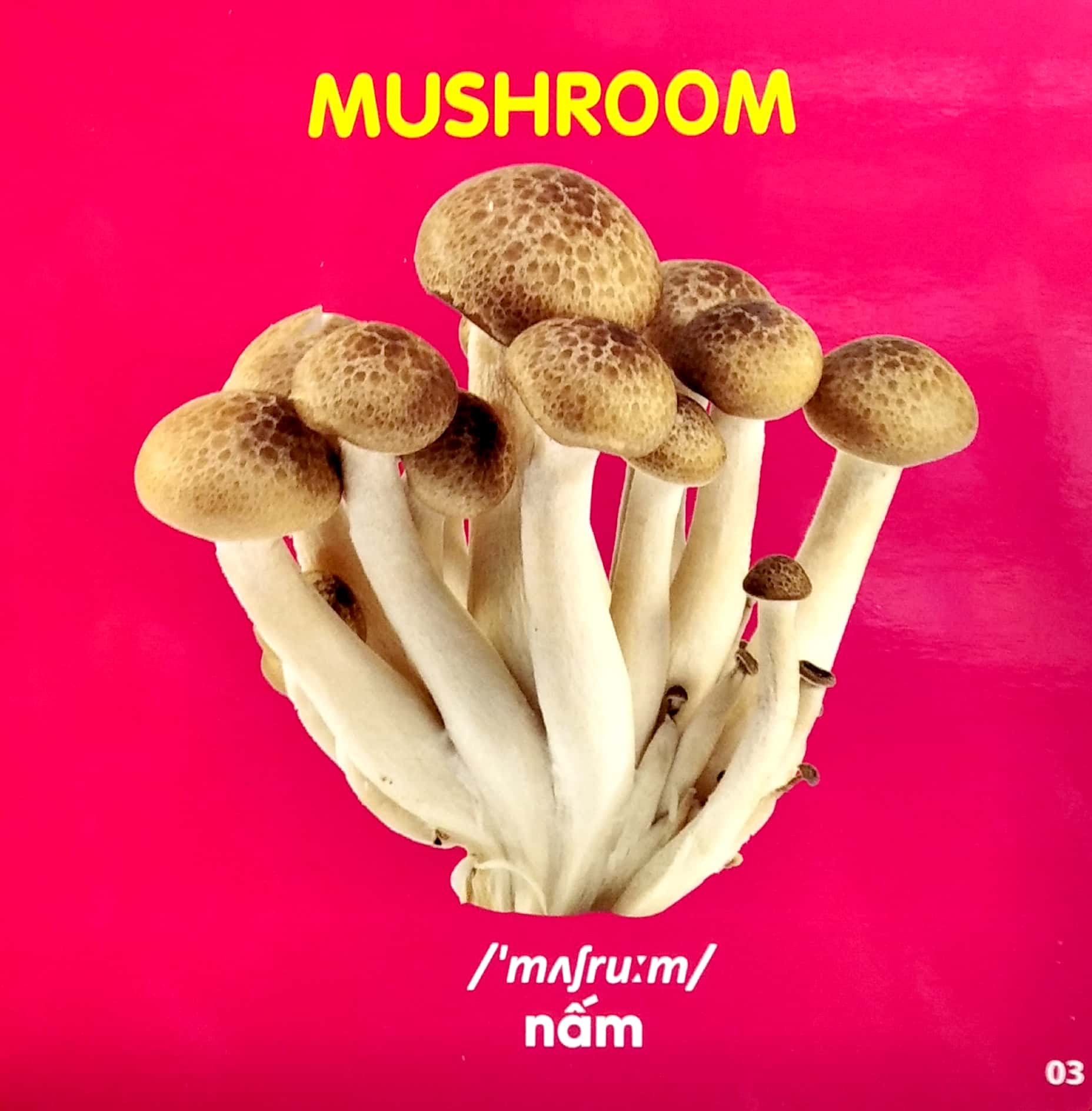 bách khoa toàn thư cho bé - rau, củ, quả