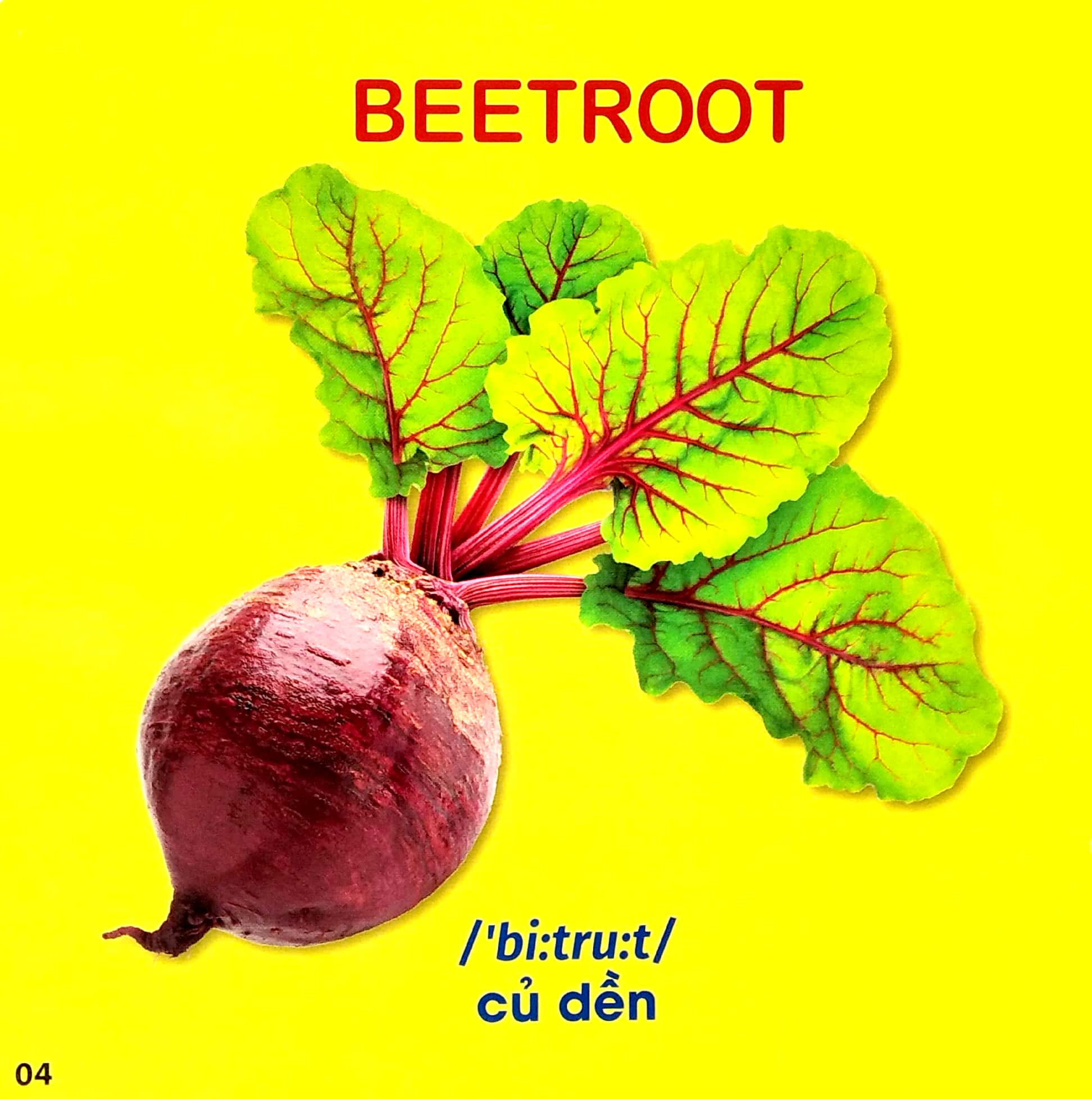 bách khoa toàn thư cho bé - rau, củ, quả