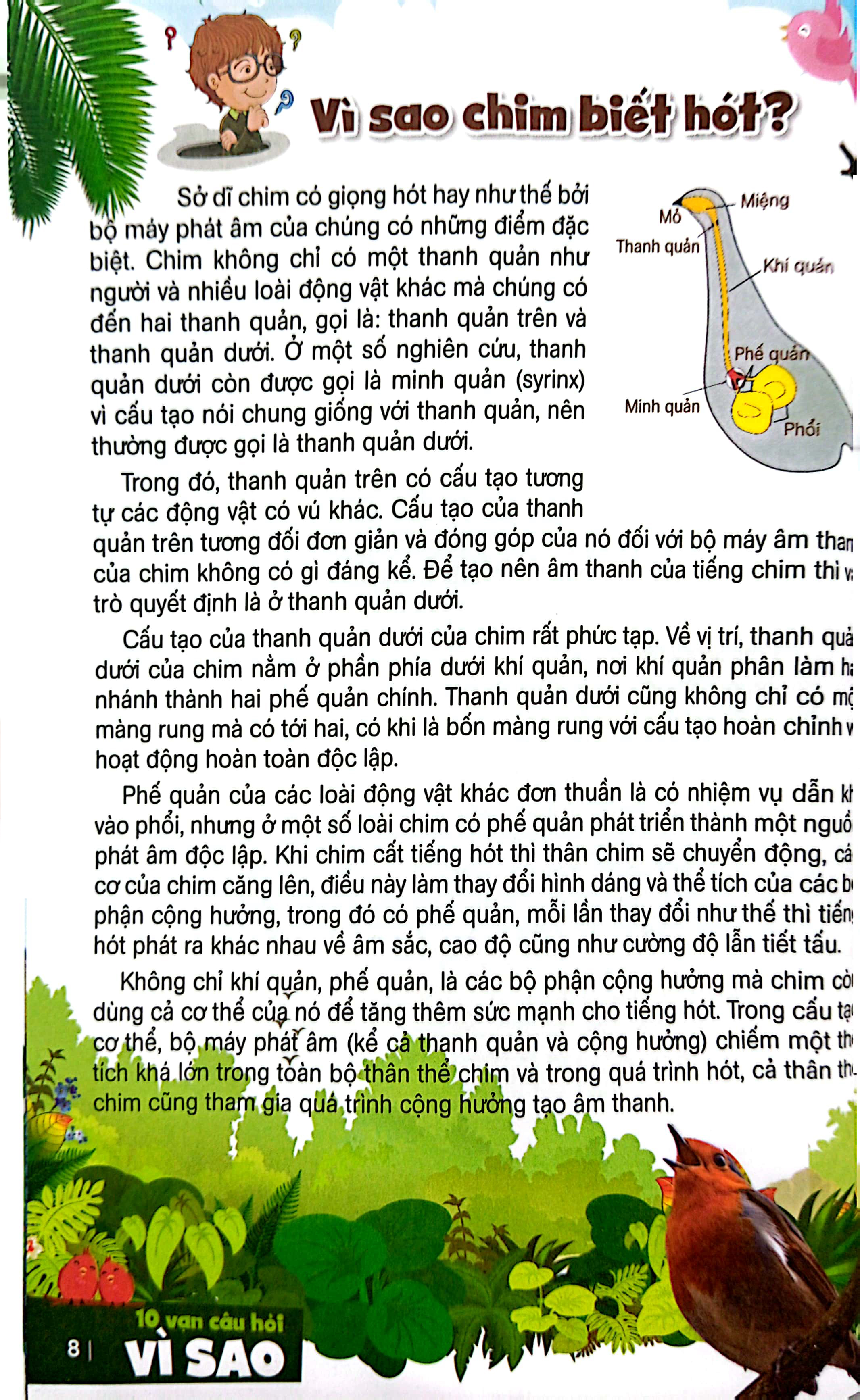 bách khoa toàn thư dành cho trẻ em - 10 vạn câu hỏi vì sao - bí ẩn về loài chim, động vật dưới biển và đại dương (tái bản 2024)