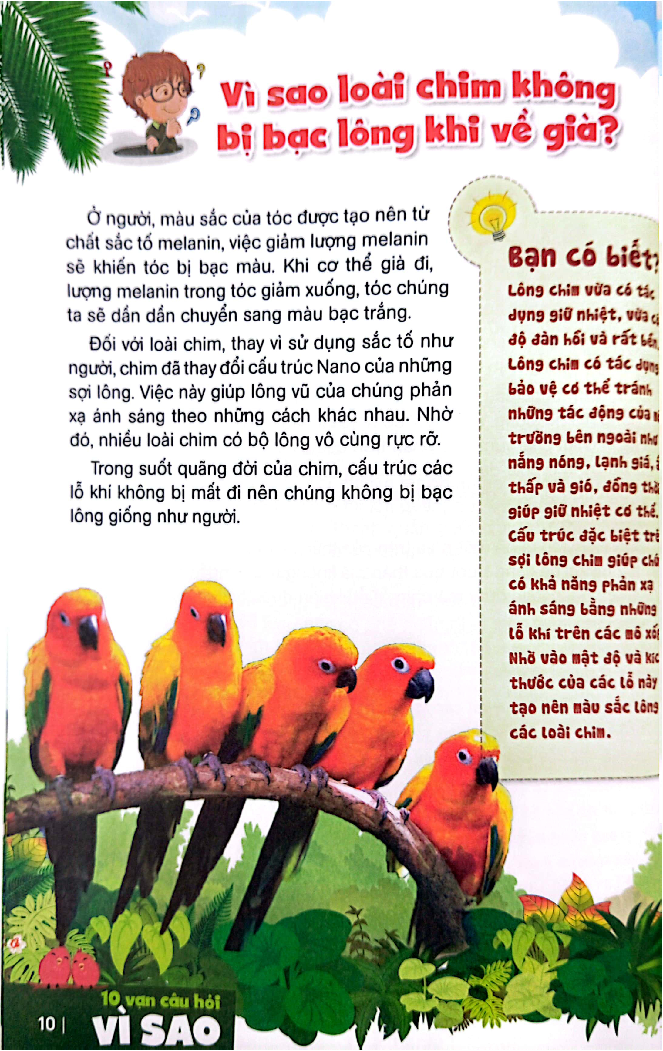 bách khoa toàn thư dành cho trẻ em - 10 vạn câu hỏi vì sao - bí ẩn về loài chim, động vật dưới biển và đại dương (tái bản 2024)