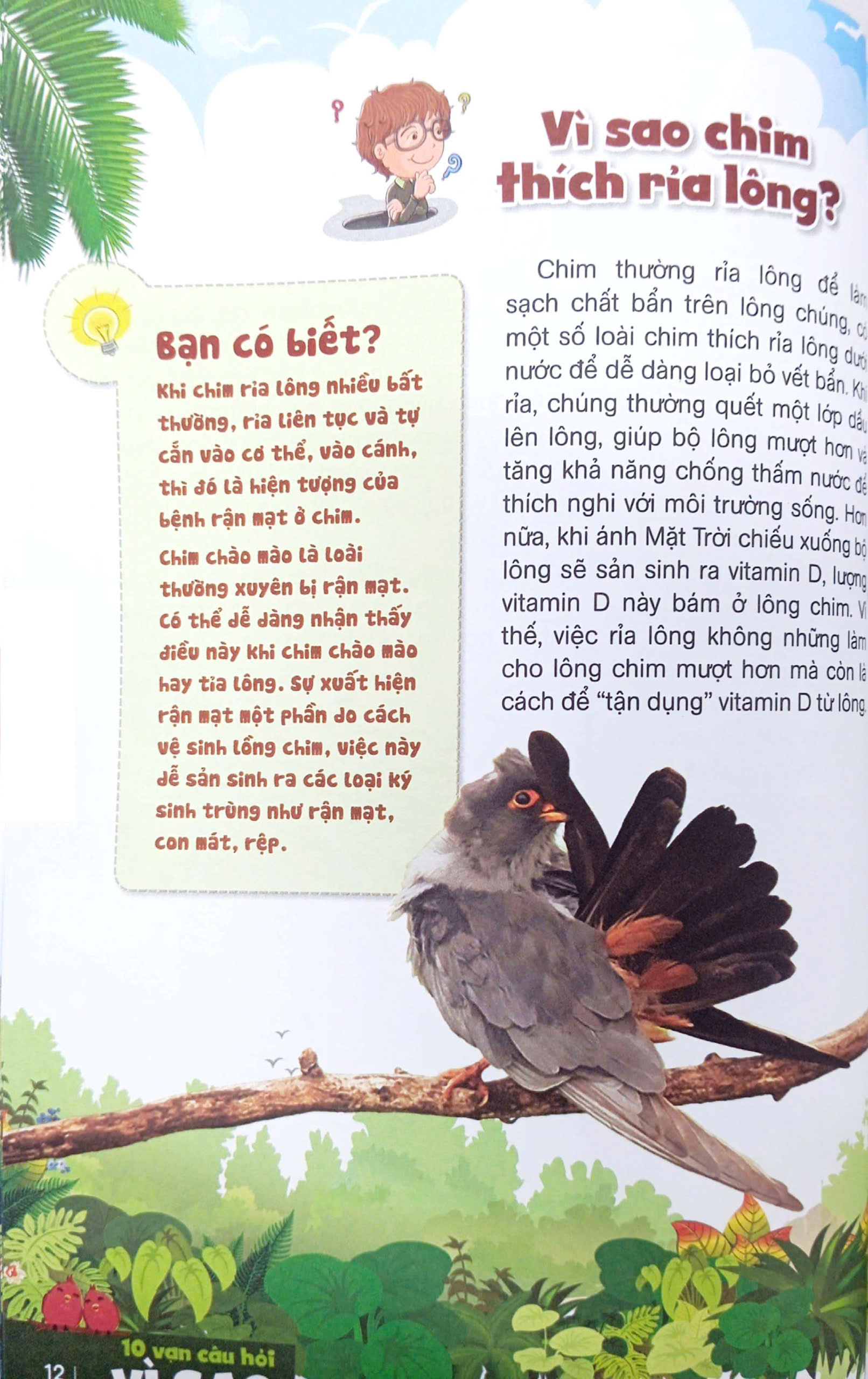 bách khoa toàn thư dành cho trẻ em - 10 vạn câu hỏi vì sao - bí ẩn về loài chim, động vật dưới biển và đại dương (tái bản 2024)