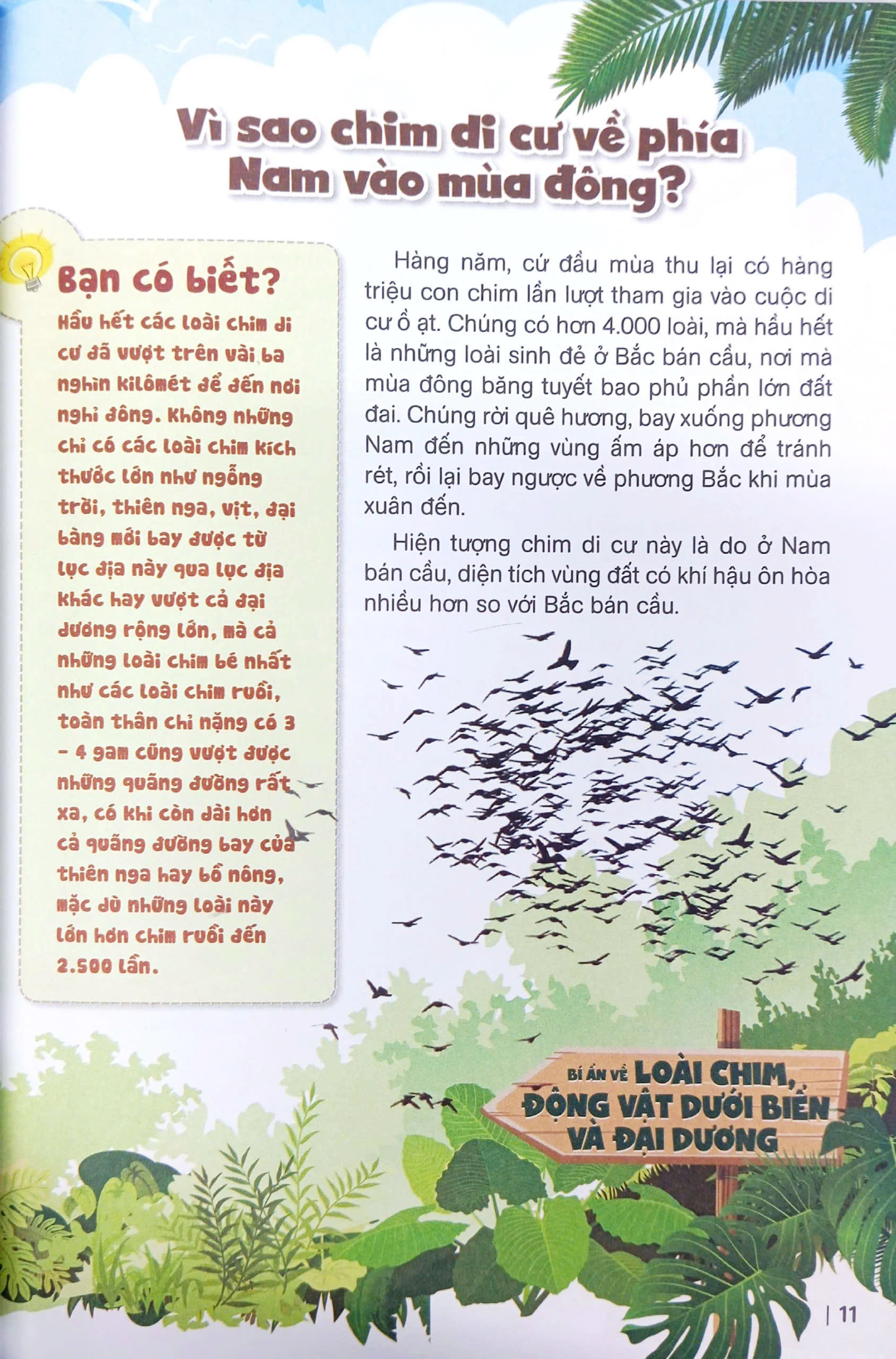 bách khoa toàn thư dành cho trẻ em - 10 vạn câu hỏi vì sao - bí ẩn về loài chim, động vật dưới biển và đại dương (tái bản 2024)