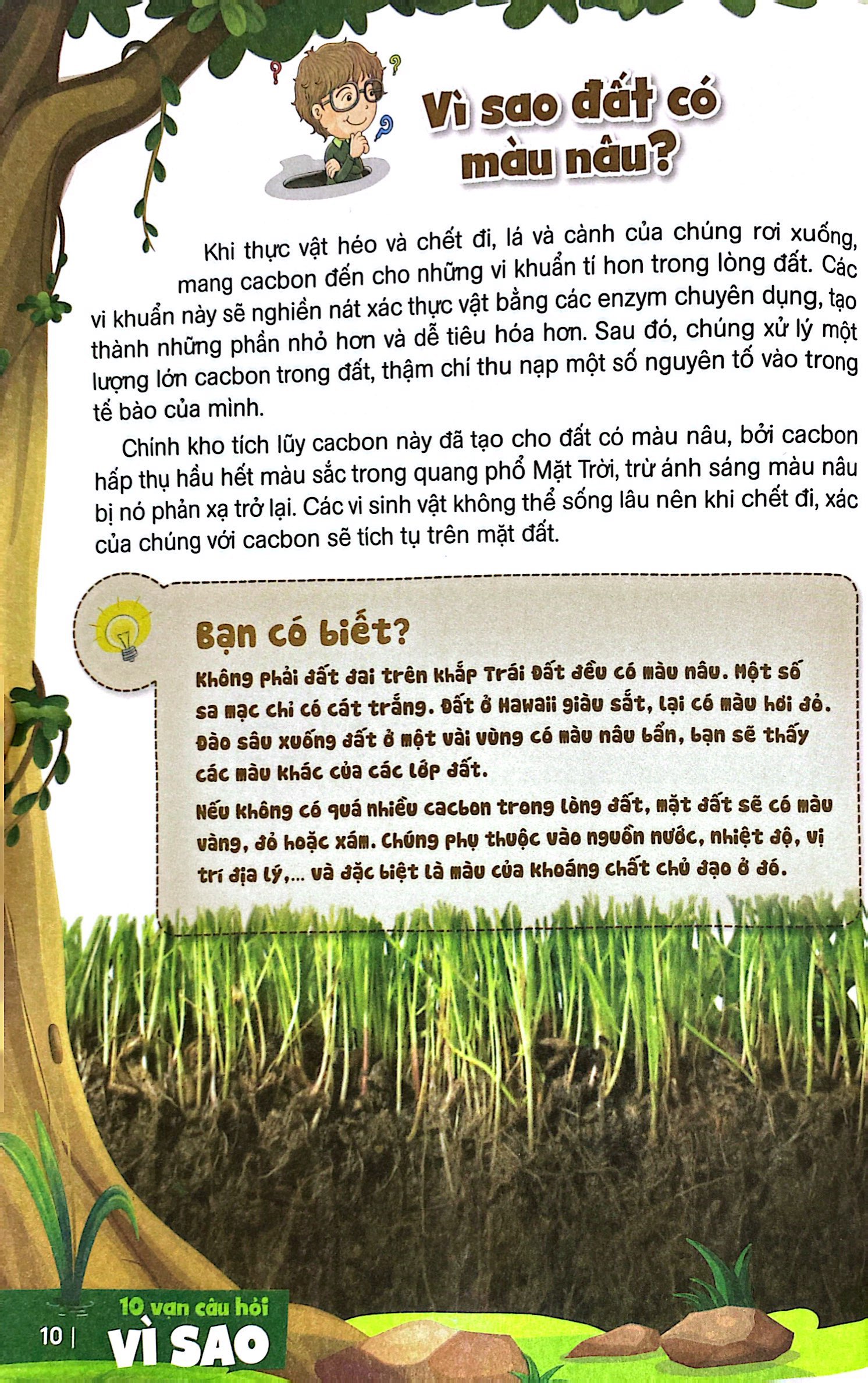 bách khoa toàn thư dành cho trẻ em - 10 vạn câu hỏi vì sao - tự nhiên kỳ thú (tái bản 2024)