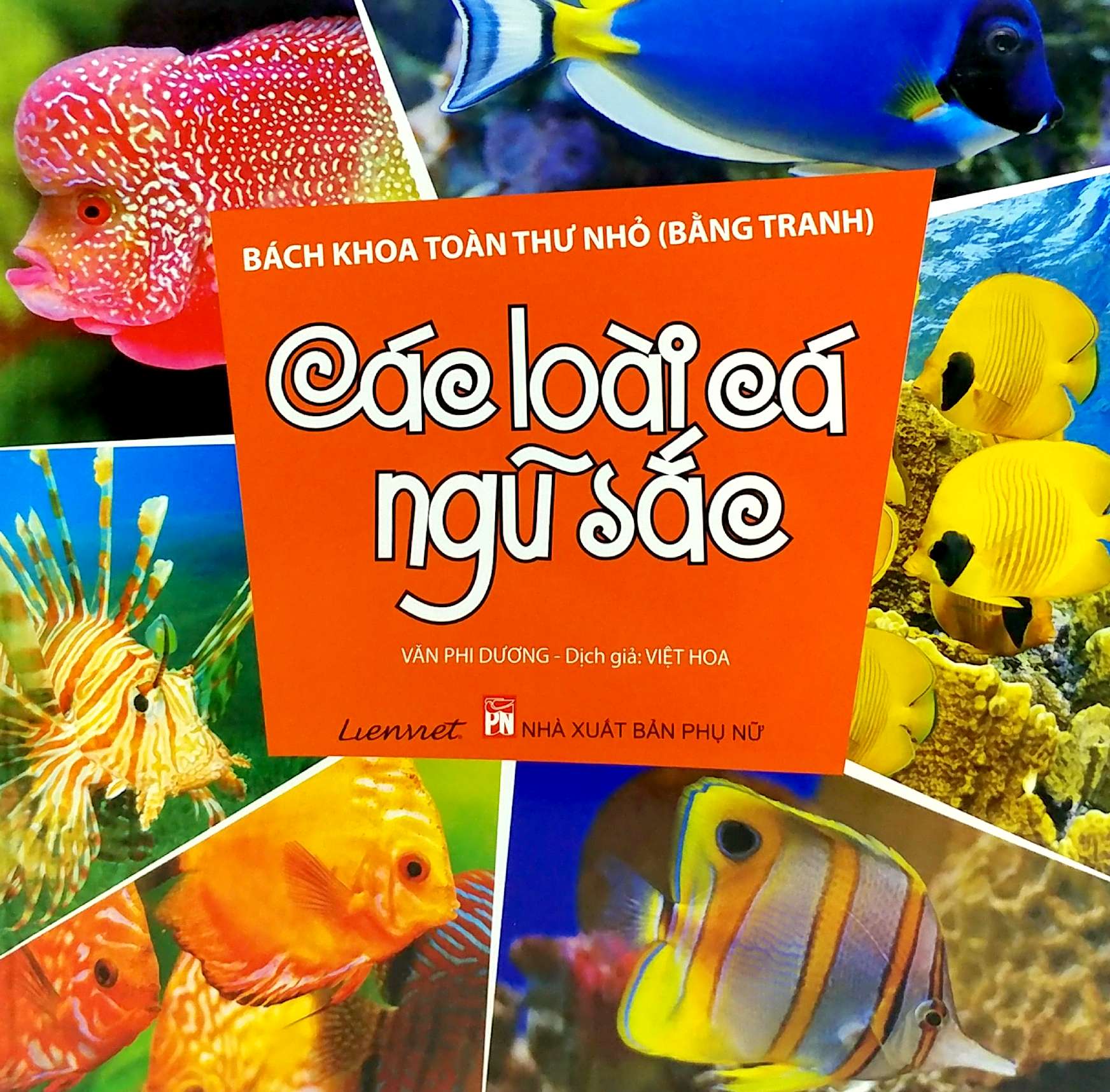 bách khoa toàn thư nhỏ - các loài cá ngũ sắc