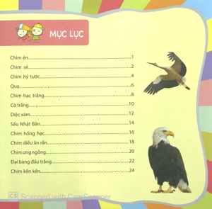 bách khoa toàn thư nhỏ - các loài chim