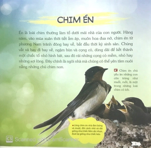 bách khoa toàn thư nhỏ - các loài chim
