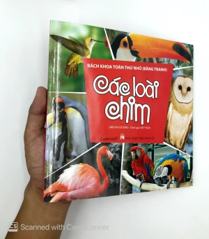 bách khoa toàn thư nhỏ - các loài chim
