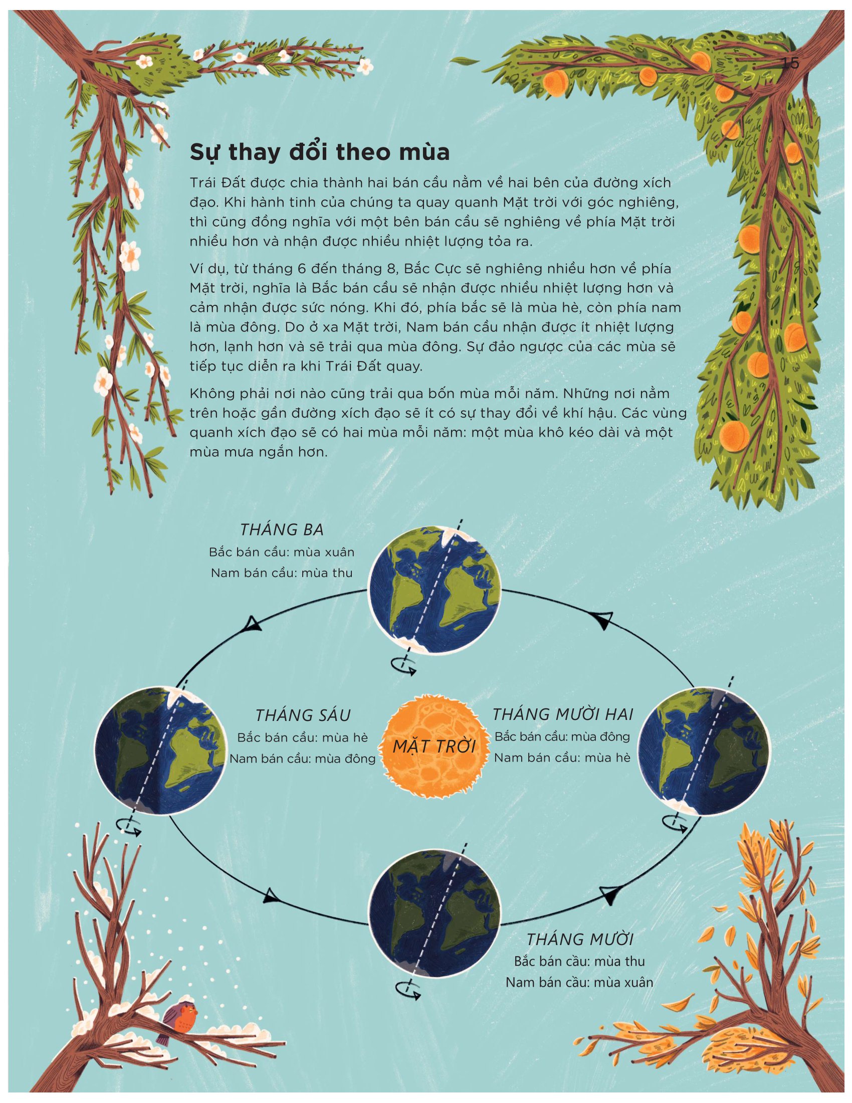 bách khoa toàn thư về lịch sử thời gian - bìa cứng