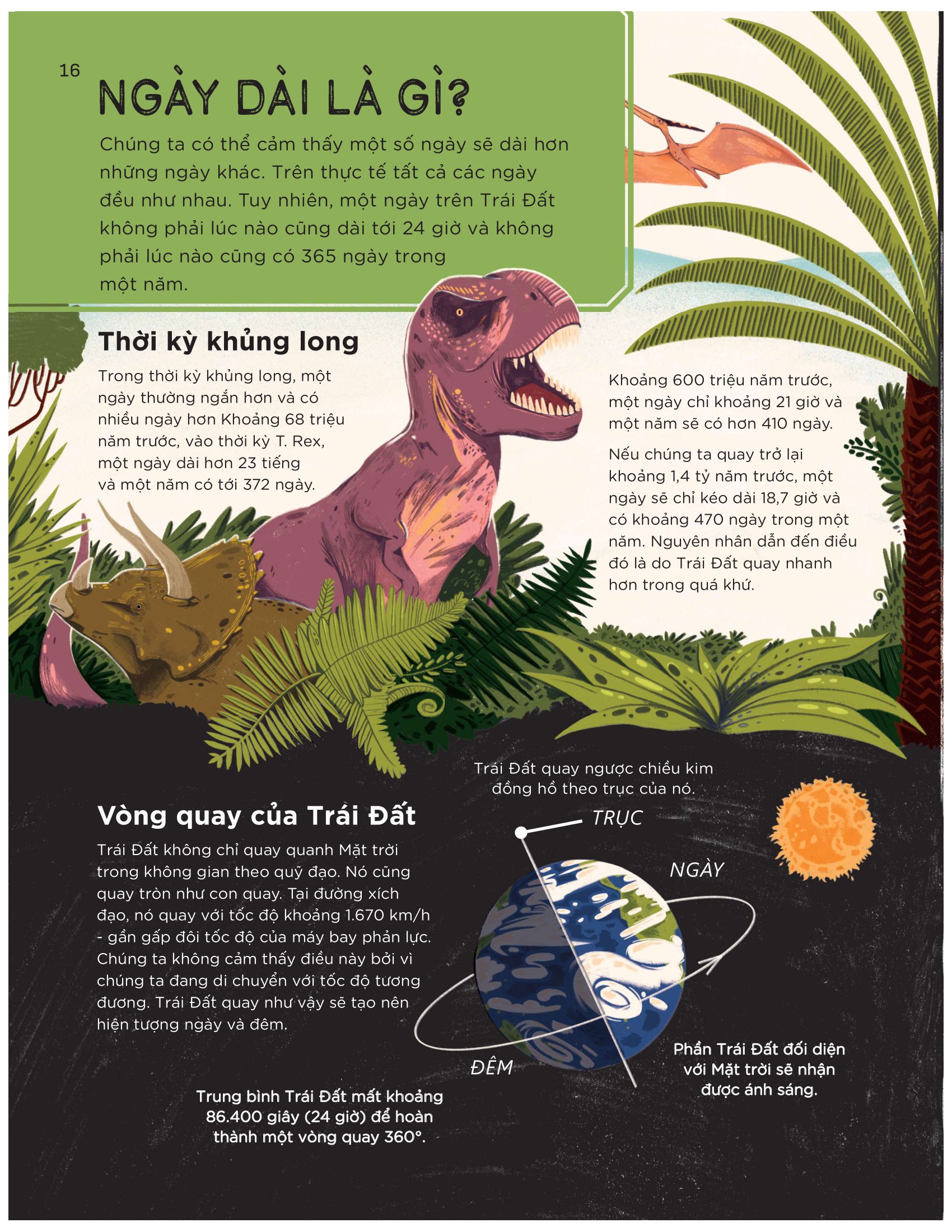 bách khoa toàn thư về lịch sử thời gian - bìa cứng