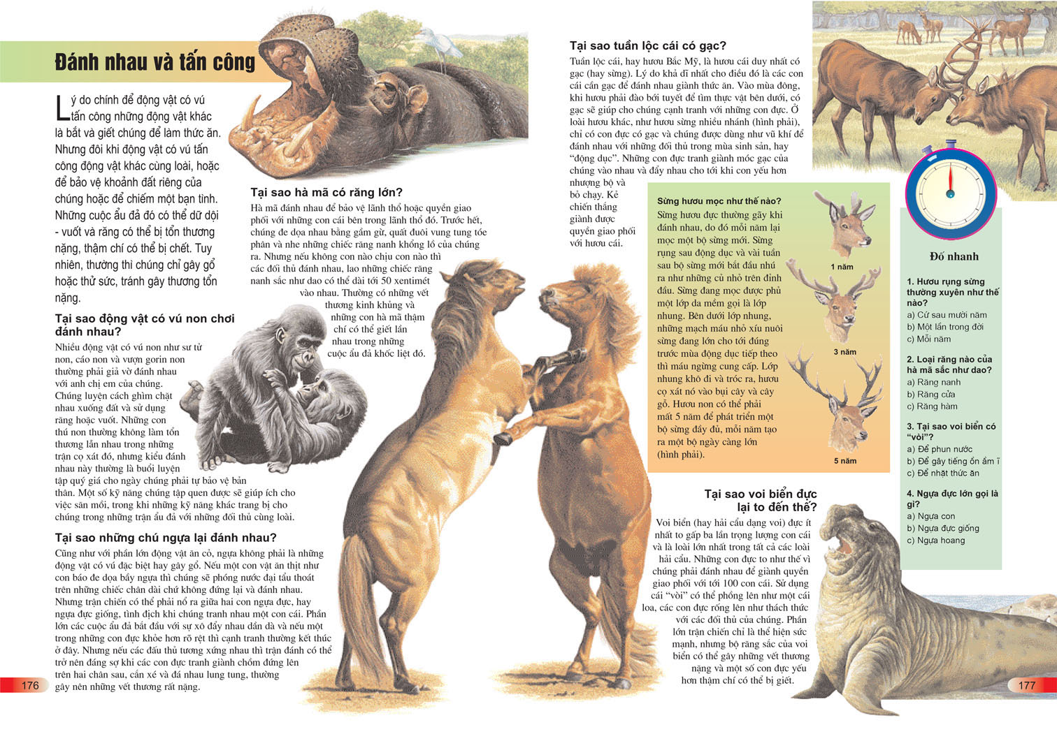 bách khoa tri thức cho trẻ em - câu hỏi và trả lời (tái bản)