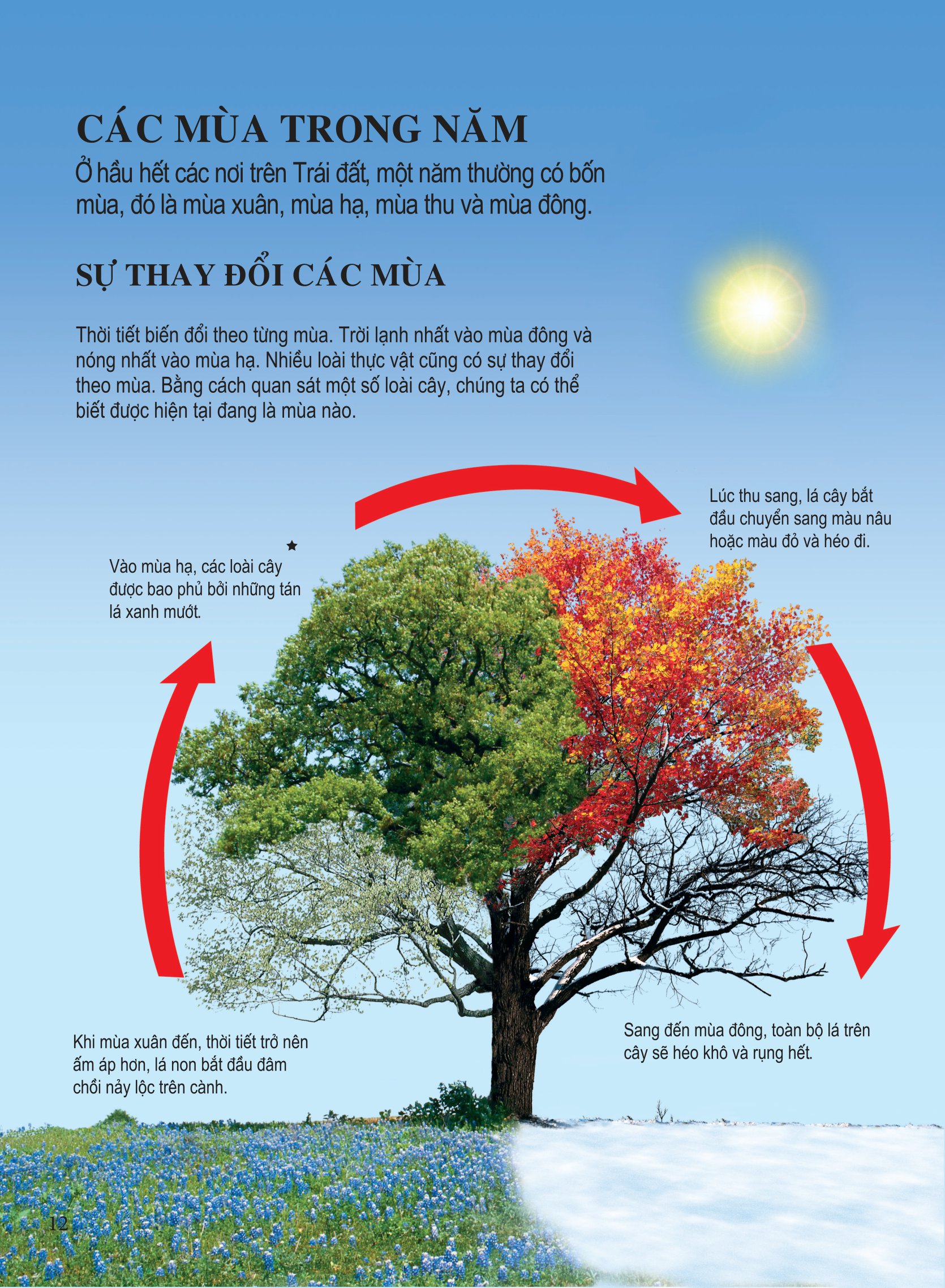 bách khoa tri thức dành cho trẻ em