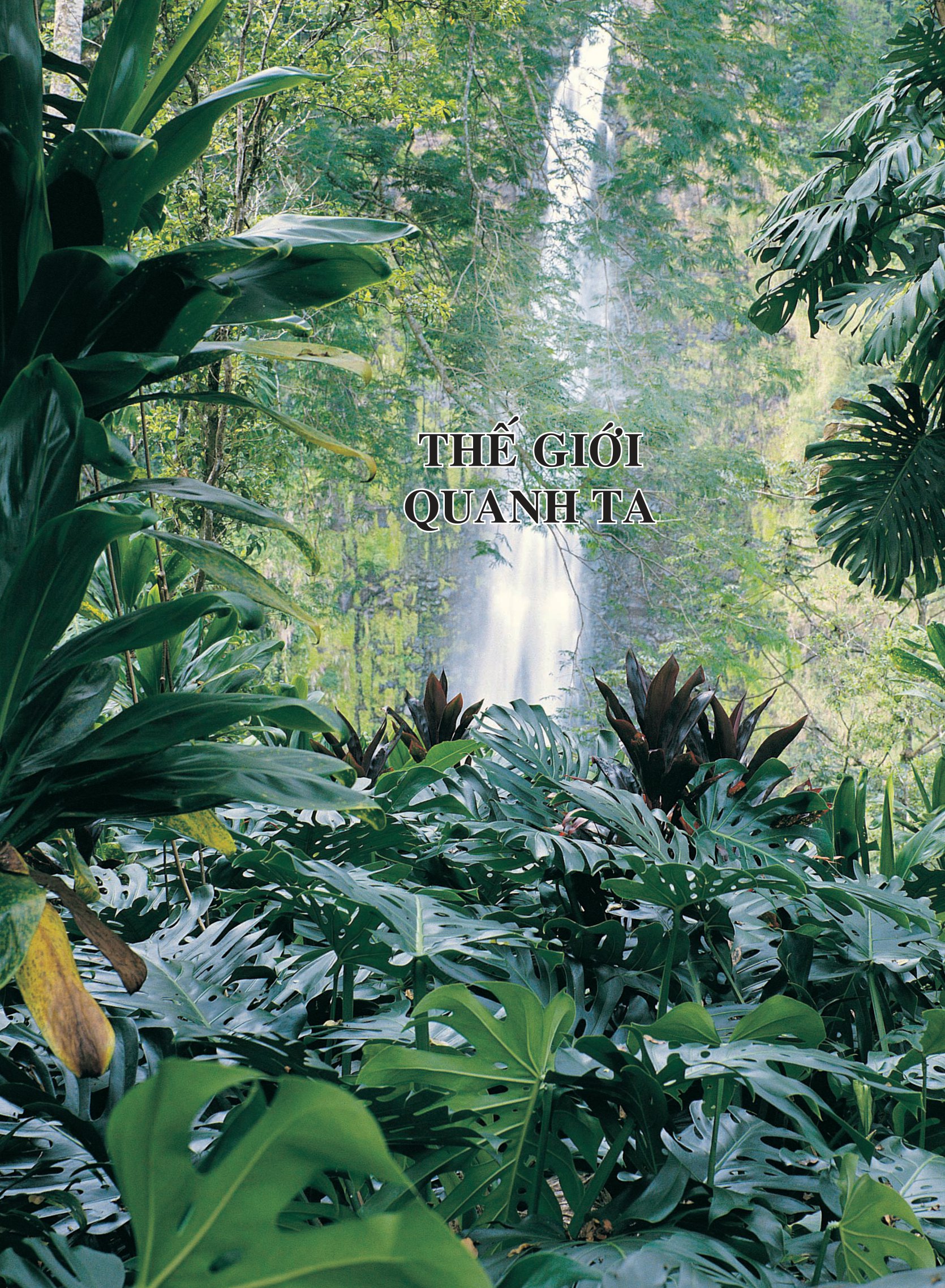 bách khoa tri thức dành cho trẻ em