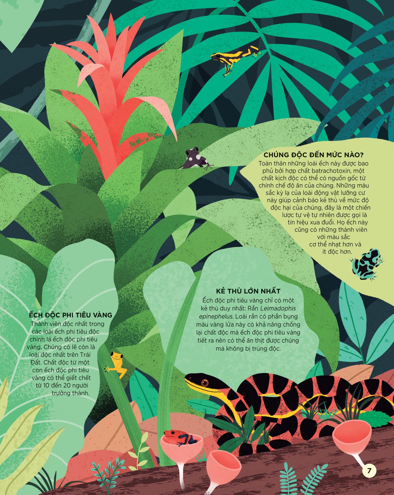 bách khoa tri thức dành cho trẻ em - các sinh vật cực độc trên trái đất