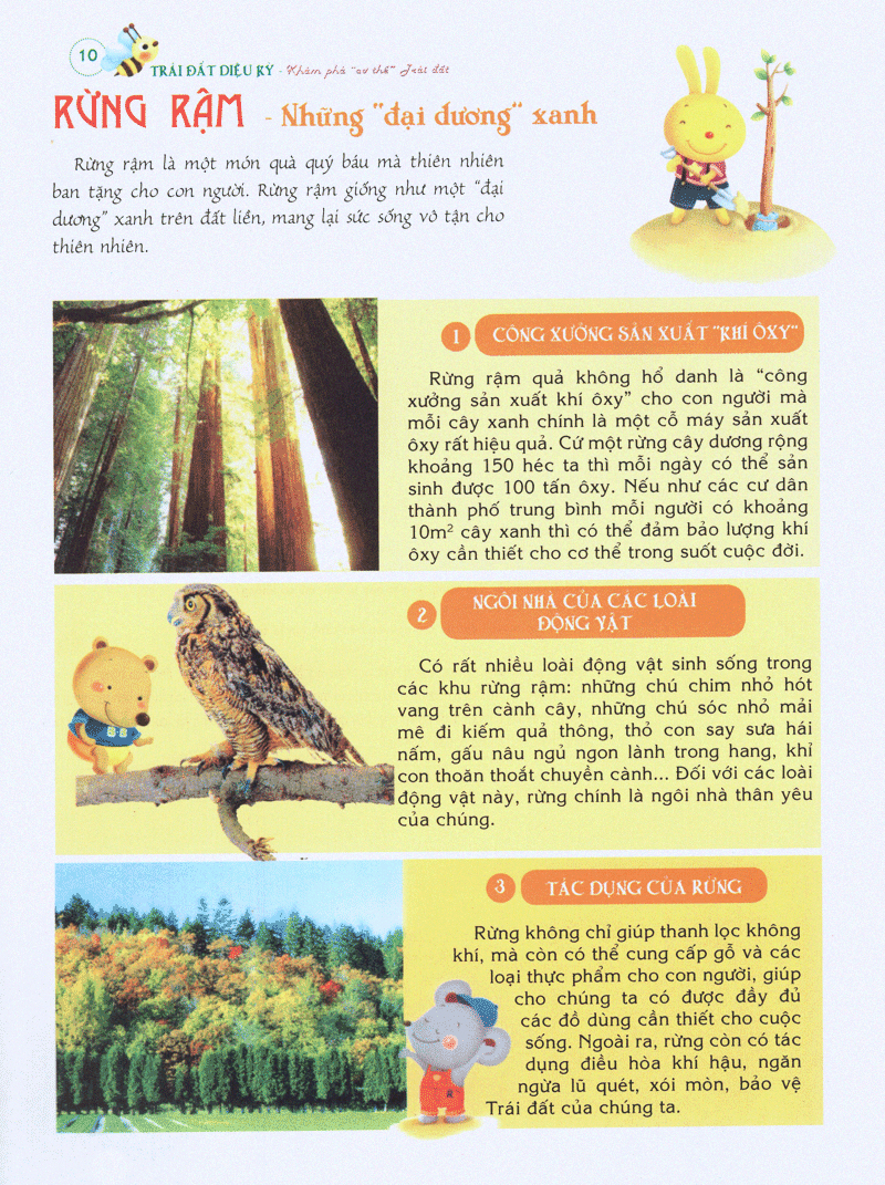 bách khoa tri thức đầu đời cho trẻ em -trái đất diệu kỳ - khám phá “cơ thể” trái đất