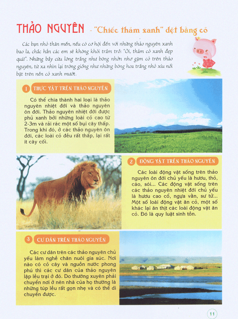 bách khoa tri thức đầu đời cho trẻ em -trái đất diệu kỳ - khám phá “cơ thể” trái đất