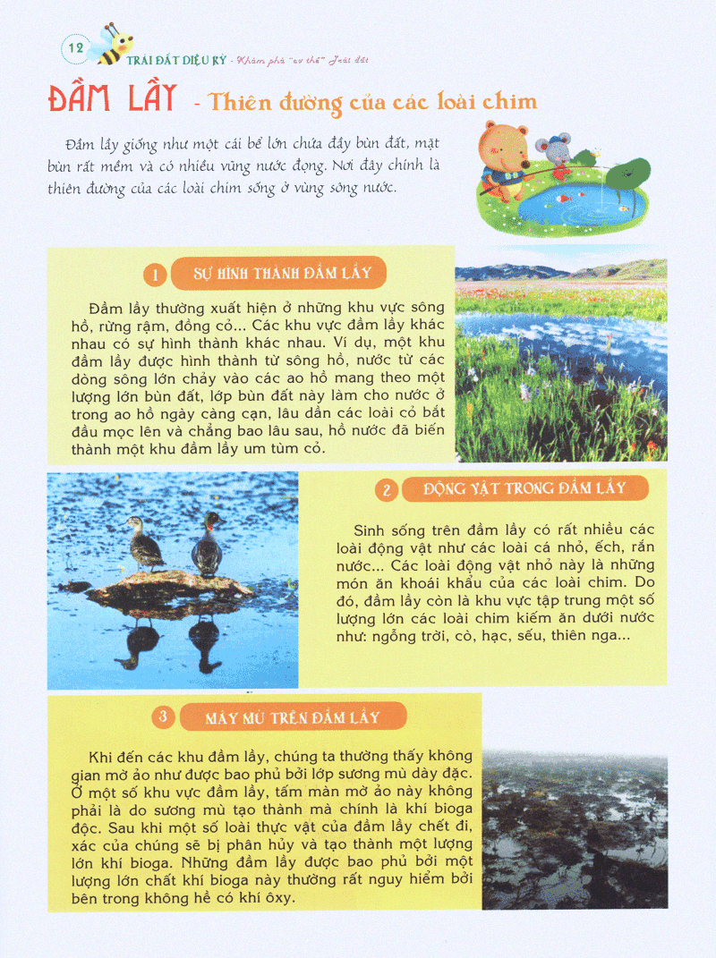 bách khoa tri thức đầu đời cho trẻ em -trái đất diệu kỳ - khám phá “cơ thể” trái đất