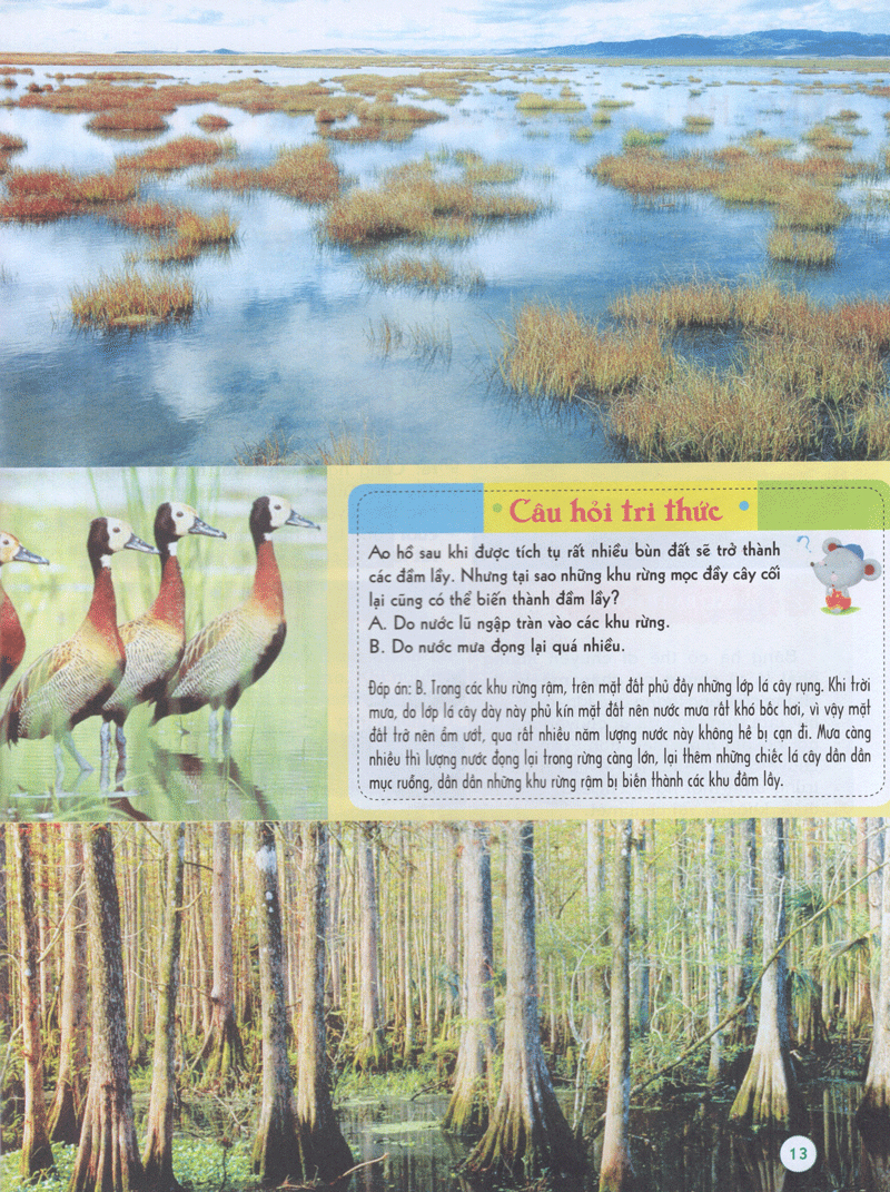 bách khoa tri thức đầu đời cho trẻ em -trái đất diệu kỳ - khám phá “cơ thể” trái đất