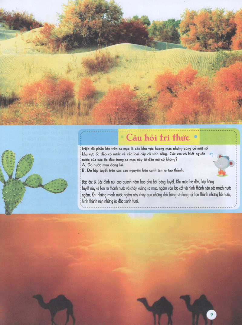 bách khoa tri thức đầu đời cho trẻ em -trái đất diệu kỳ - khám phá “cơ thể” trái đất