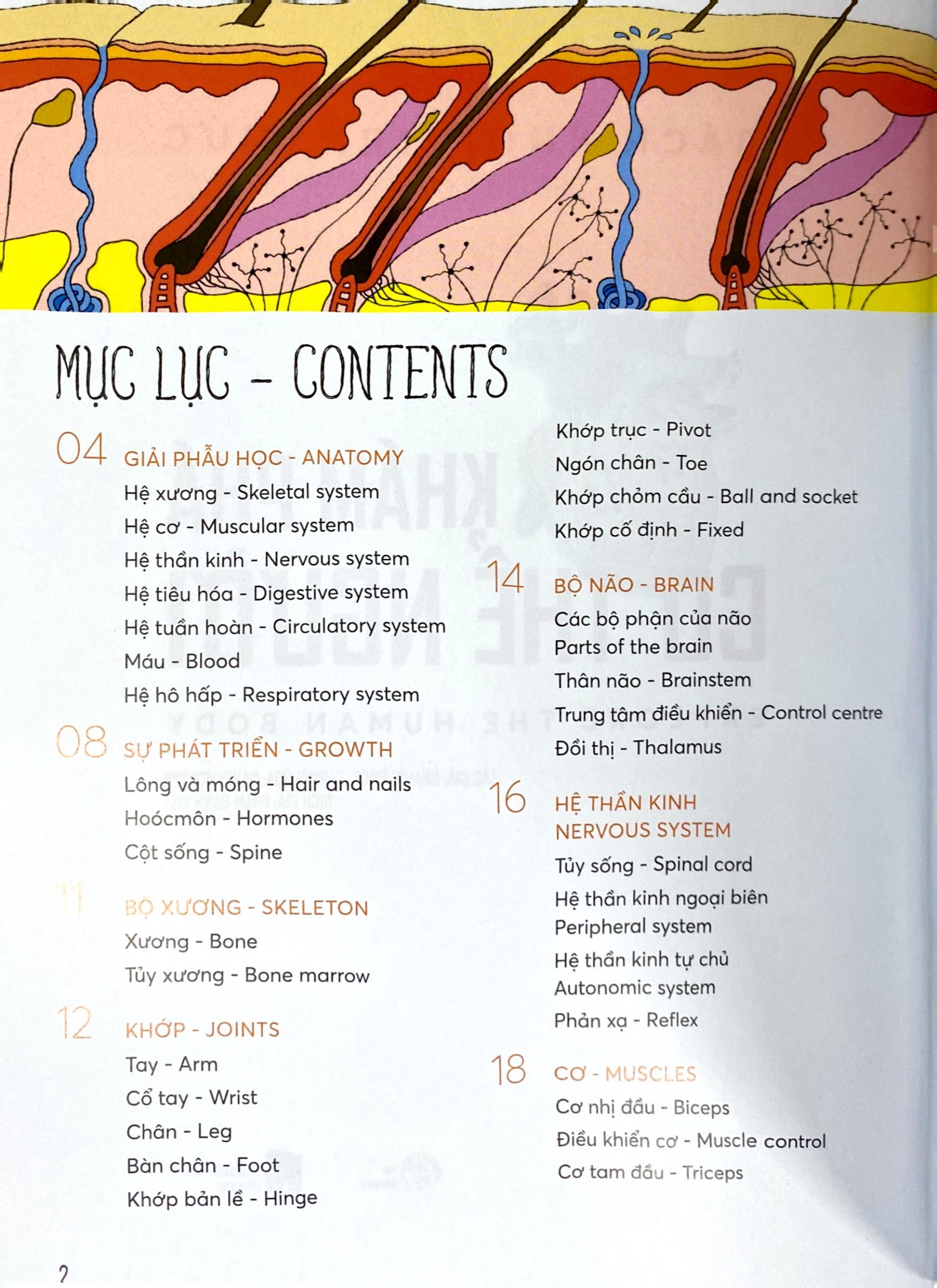 bách khoa tri thức - khám phá cơ thể người - explore the human body (song ngữ)