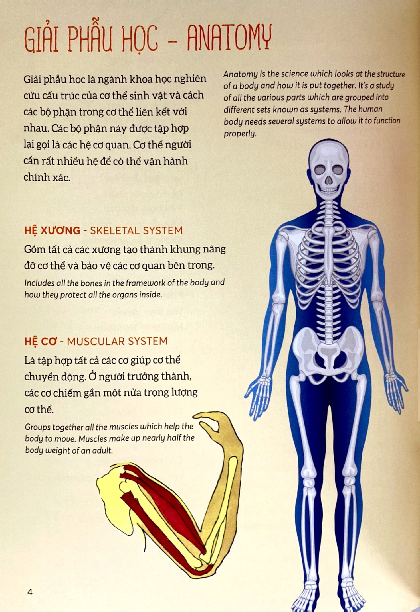 bách khoa tri thức - khám phá cơ thể người - explore the human body (song ngữ)