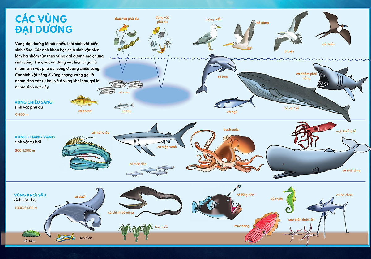 bách khoa tri thức - khám phá đại dương