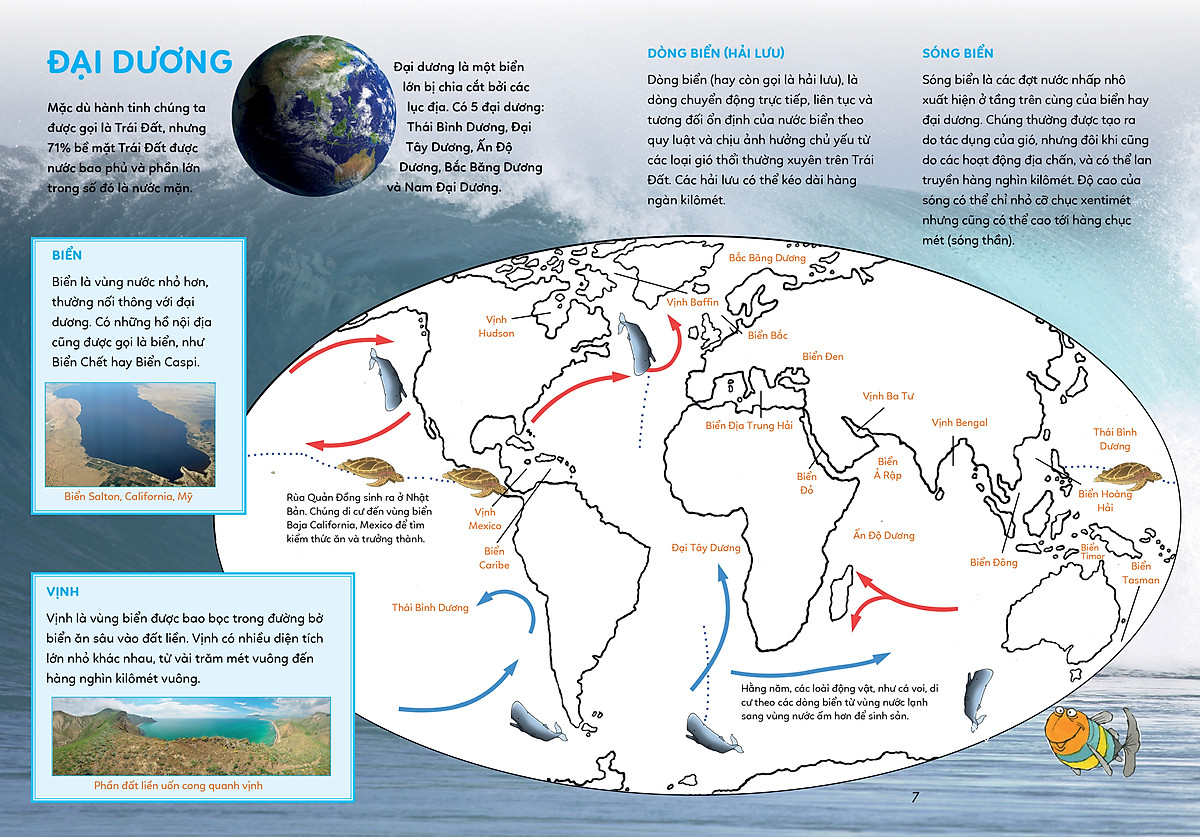 bách khoa tri thức - khám phá đại dương