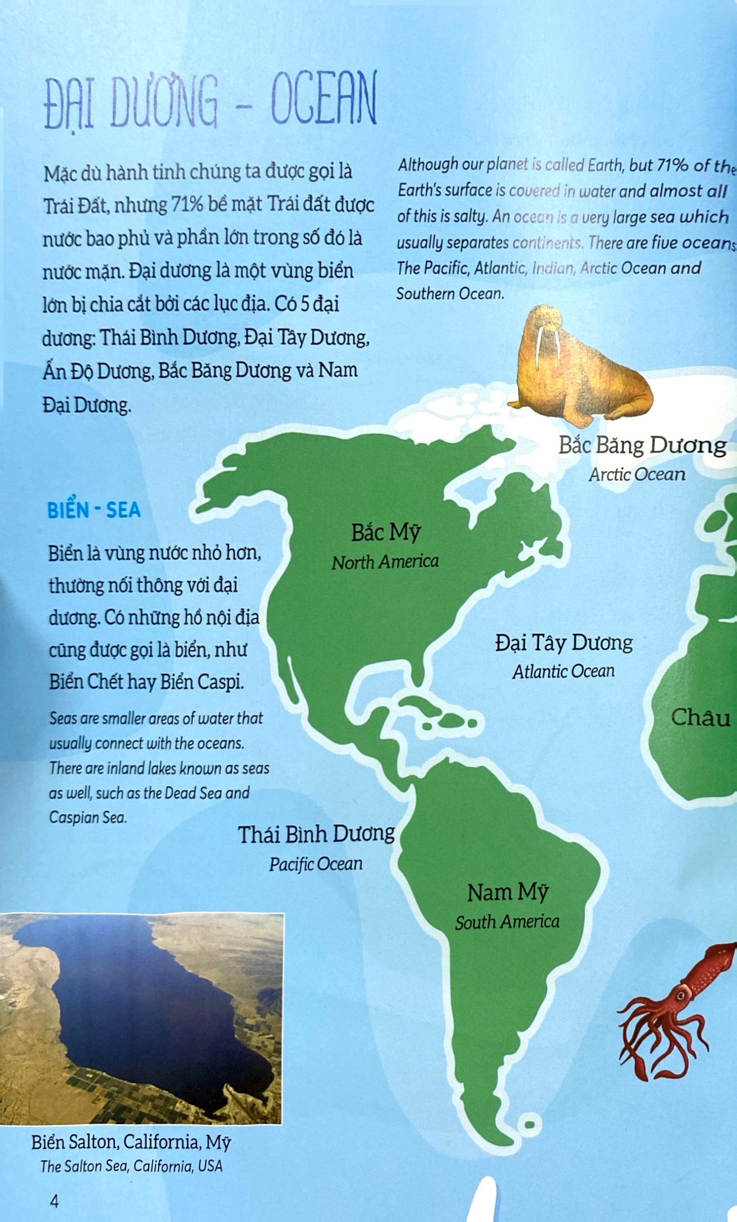 bách khoa tri thức - khám phá đại dương - explore the ocean (song ngữ)