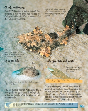 bách khoa tri thức về khám phá thế giới cho trẻ em - cá mập (tái bản 2017)